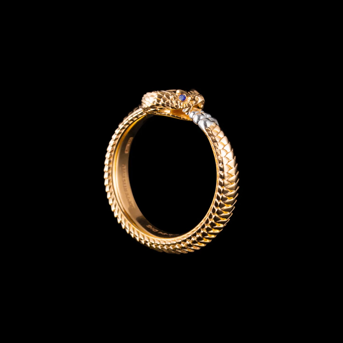 Ouroboros Ring