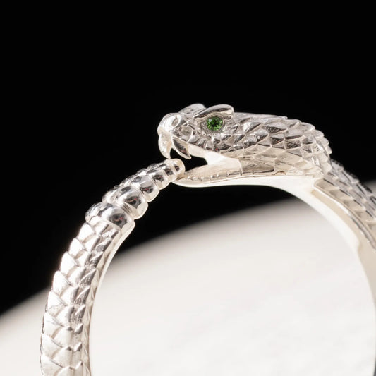 Ouroboros Ring