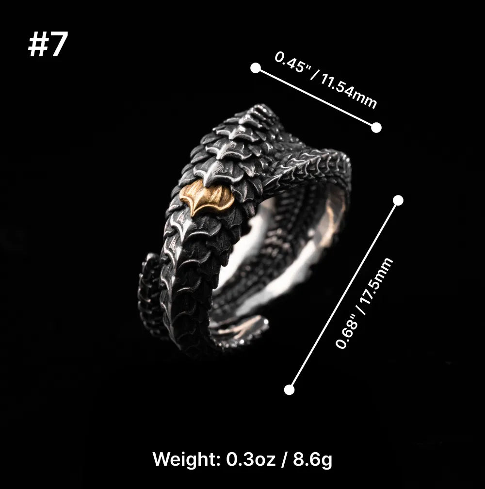 Dragon Scale Ring 2.0 Parameter