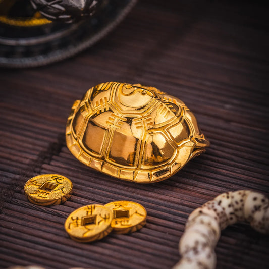 Turtle Shell Divination