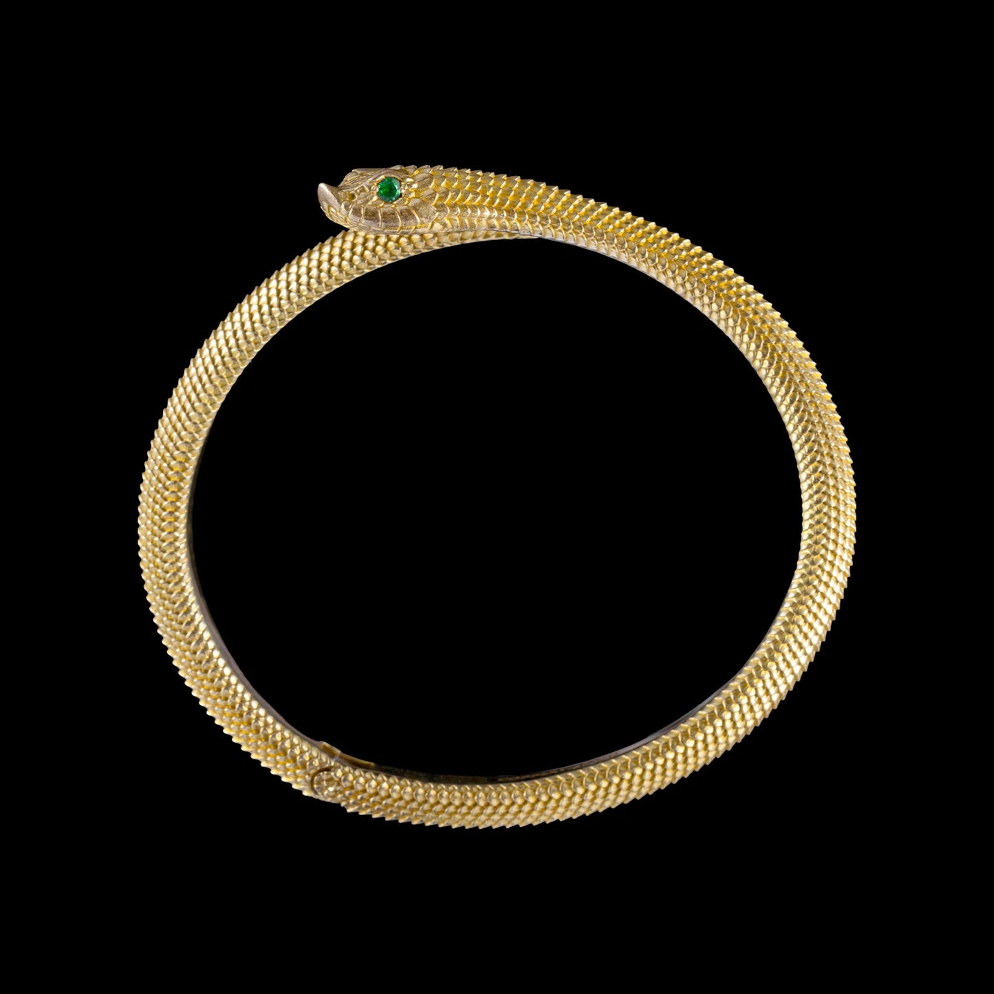 Hognose Snake Bracelet