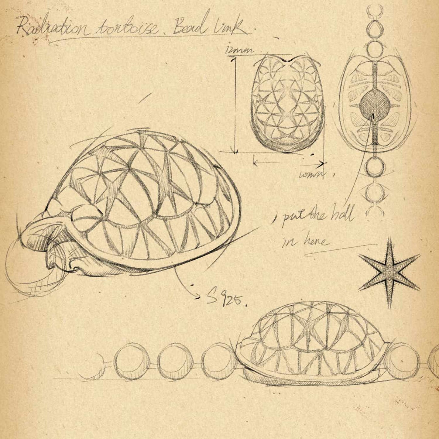 silver star tortoise clasp necklace details09