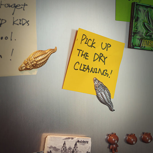 Crocodile Fridge Magnets Brass & Silver