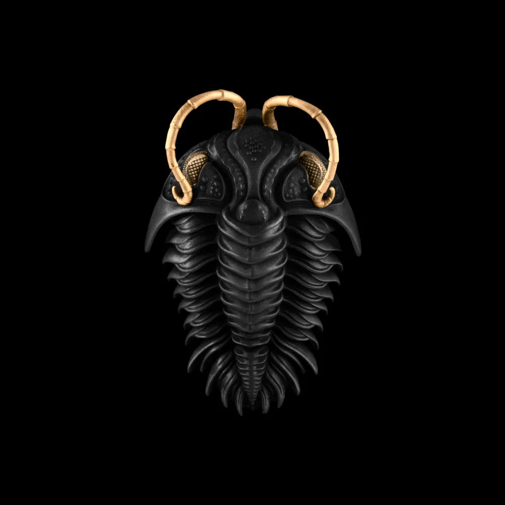 Blackened-Brass-Trilobite-Kinetic-Pendant-Customize-01.webp