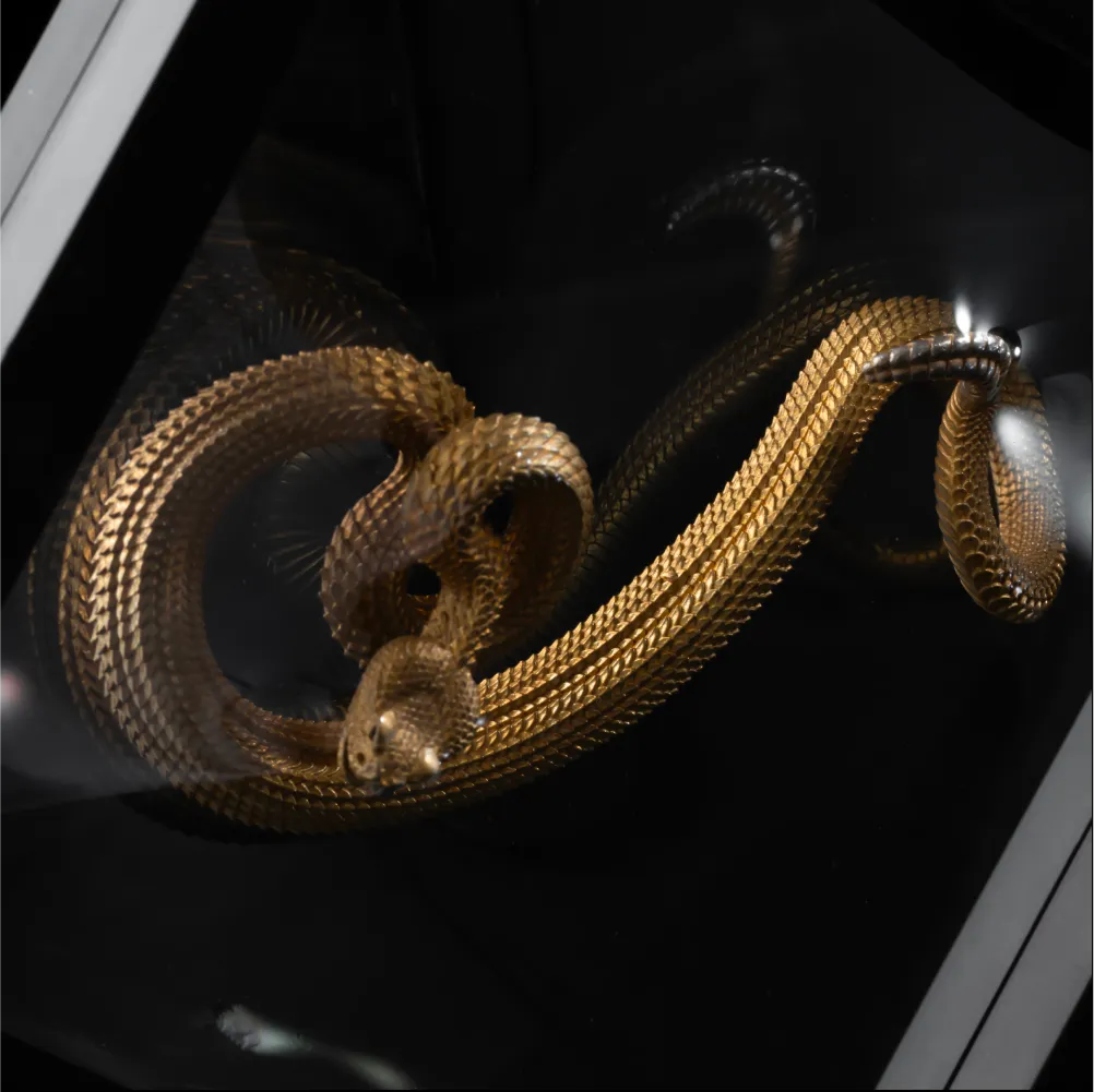 3D Floating Display Case Details 05