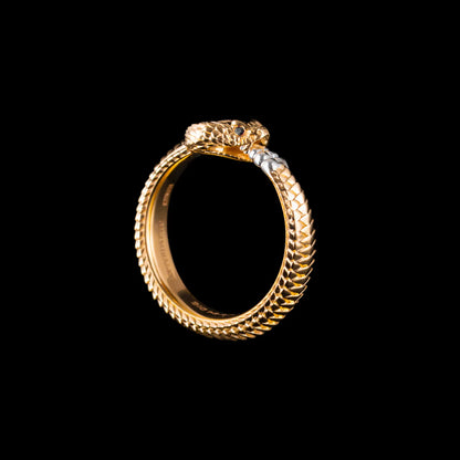Ouroboros Ring