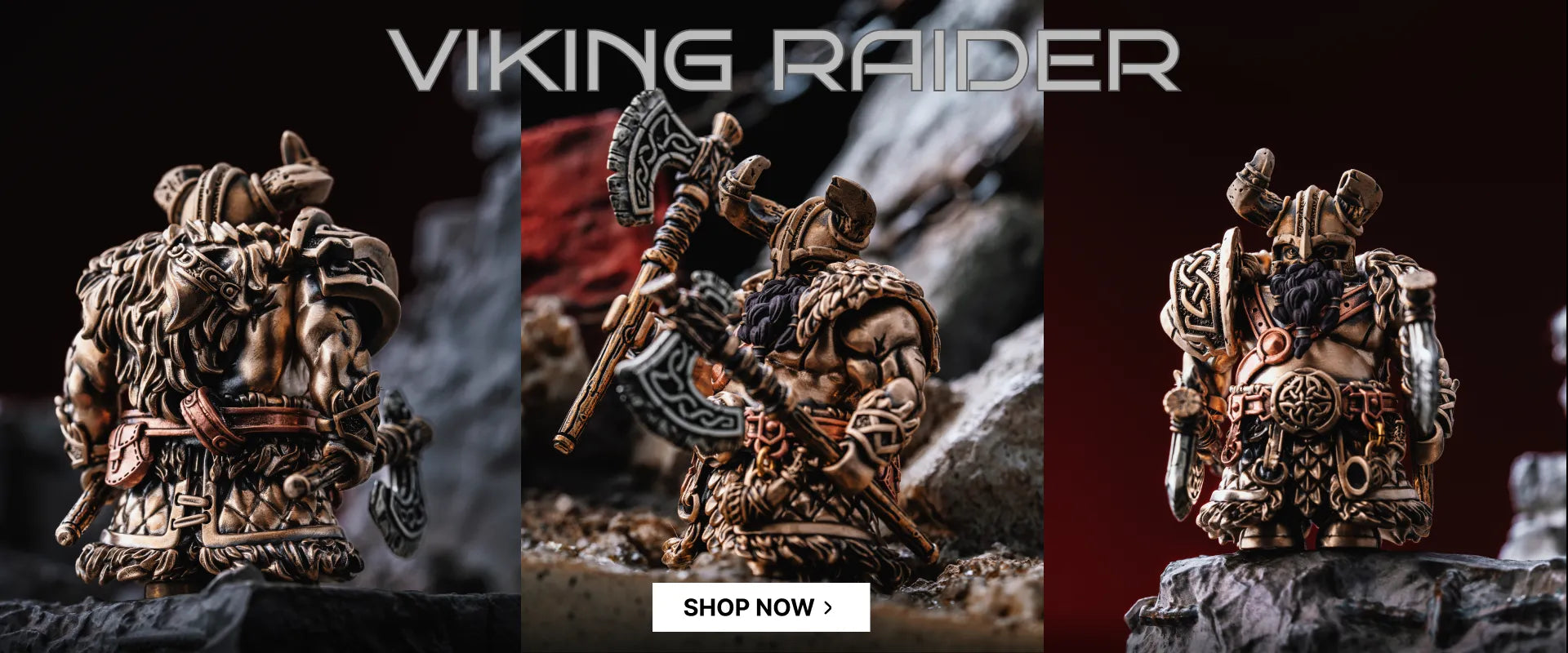 Viking Raider