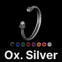 Amphisbaena Bracelet Oxidized Silver & Gemstone