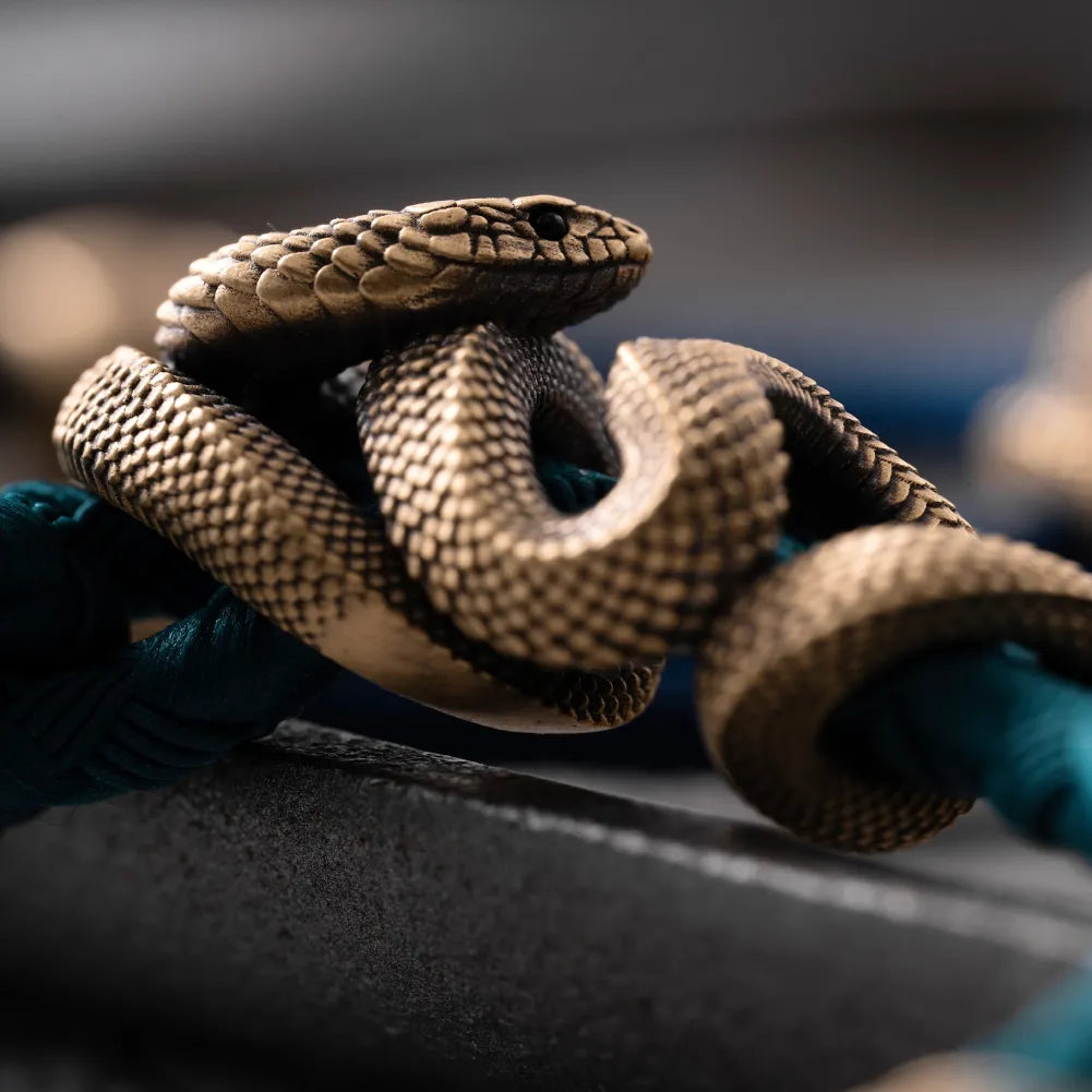 Black Mamba Rope Bracelet