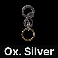 Snake Keychain Oxidized Silver & Black Zircon