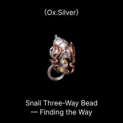 Snail Three-Way Bead - Finding the Way - Oxidized Silver - With Tassel Cord B