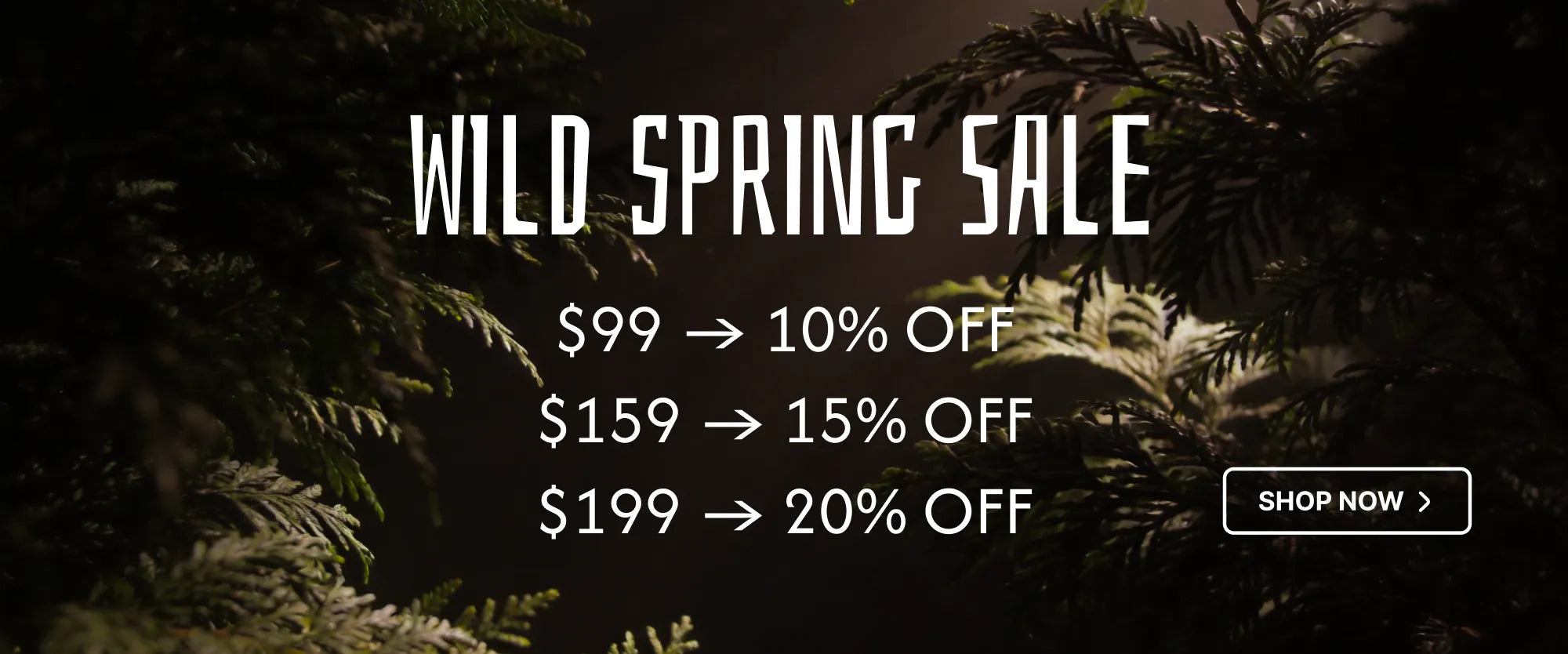 Wild Spring Sale