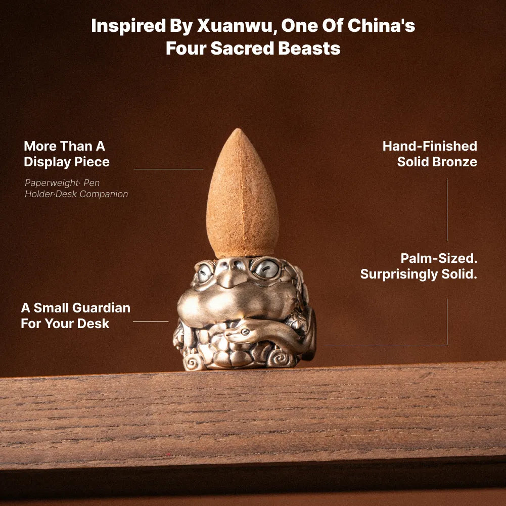 Black Tortoise Figurine – Xuanwu desk guardian, view 11