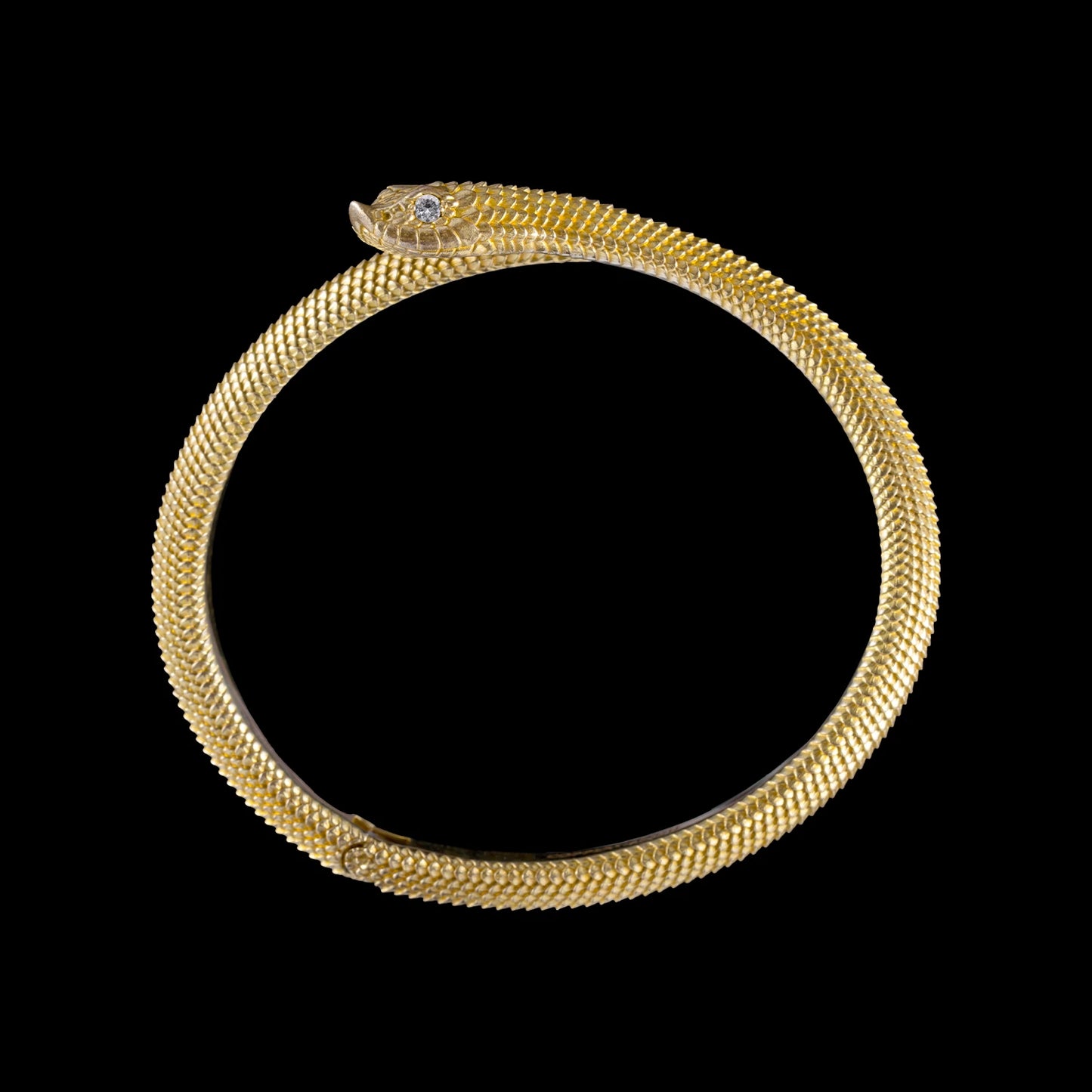 Hognose Snake Bracelet