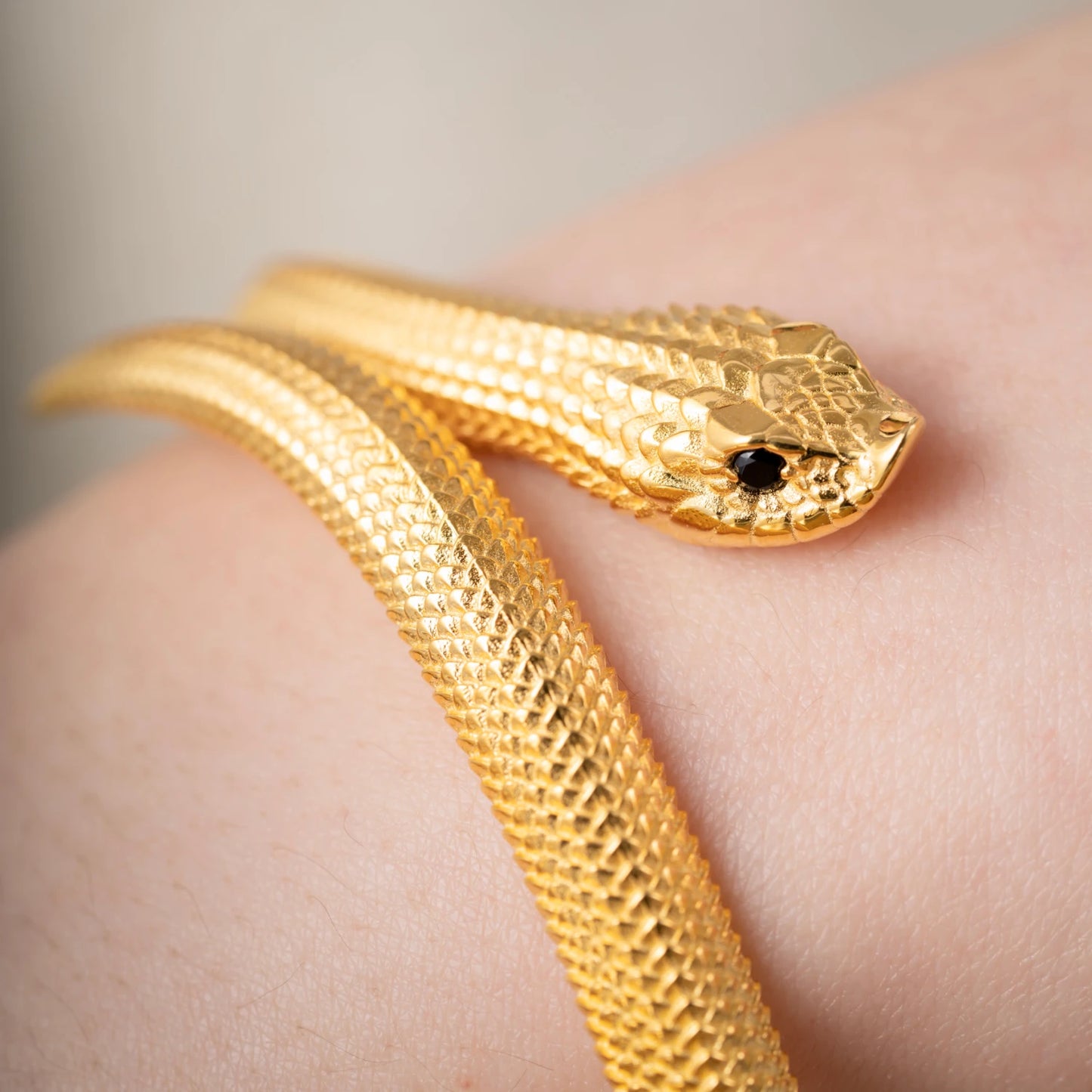 Hognose Snake Bracelet