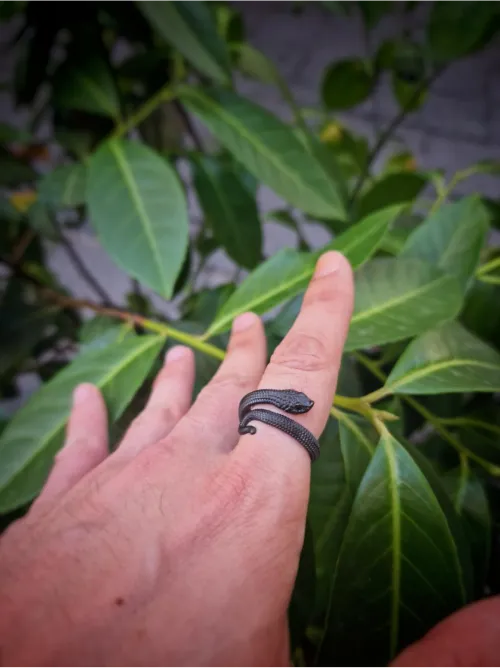 Hognose Snake Ring showcace 37 from Customers