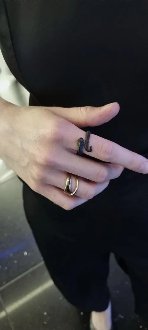Hognose Snake Ring showcace 41 from Customers