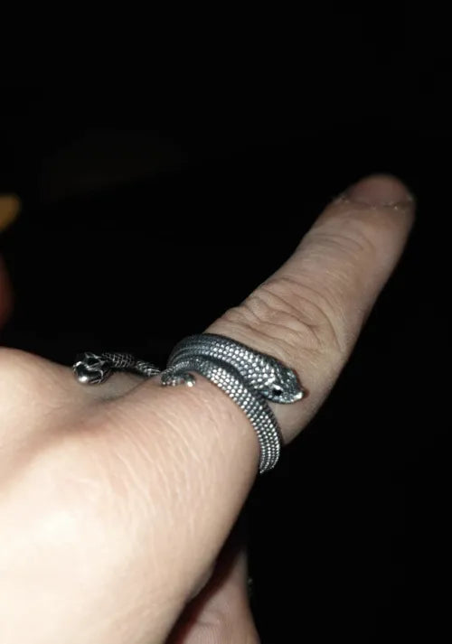 Hognose Snake Ring showcace 45 from Customers