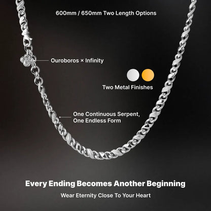 Ouroboros Infinity Necklace product view in silver-tone finish