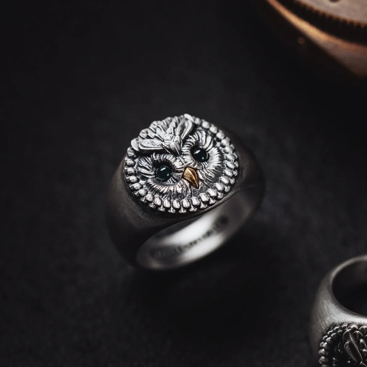 Owl Magic Rings Elegant and Luxurious Signet Pinky Ring | Owl Ring – COPPERTIST.WU