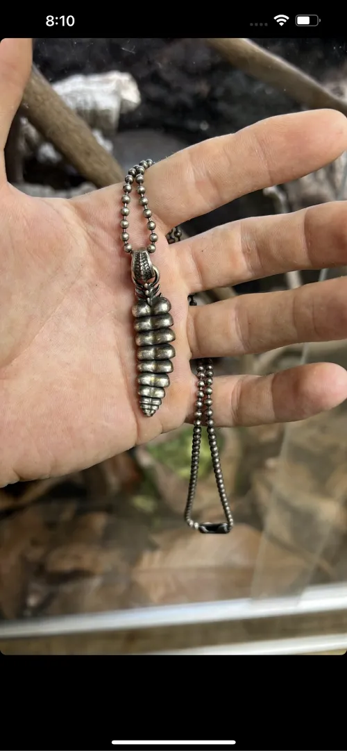 Rattlesnake Tail Pendant showcace 46 from Customers