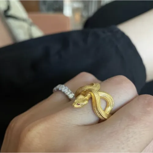 Snake Ring showcace 46 from Customers