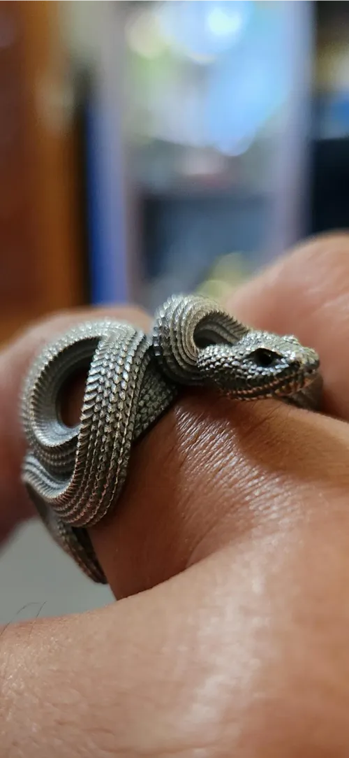 Snake Ring showcace 19 from Customers