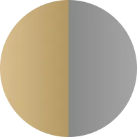 Turtle Shell Divination 