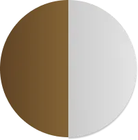 Dragon Turtle Back Mountain Ornament 