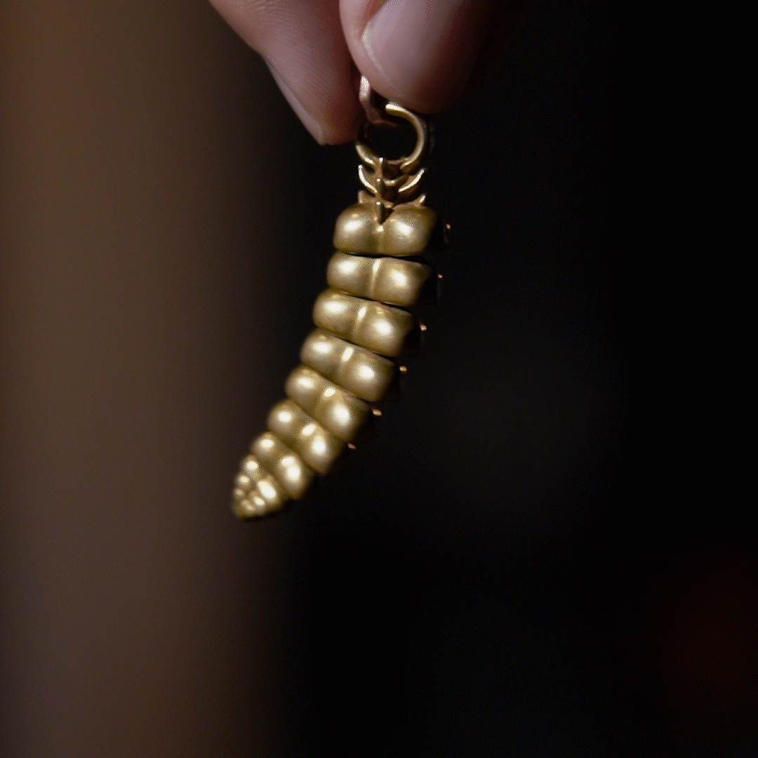 File:Rattlesnake rattle and seed necklace.jpg - Wikimedia Commons